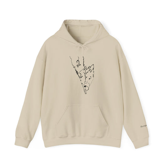 Perspective Hoodie